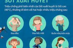 Nhận biết triệu chứng và điều trị sốt xuất huyết - video