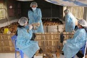 Tăng cường công tác phòng, chống bệnh ho gà và các bệnh dự phòng bằng vắc xin