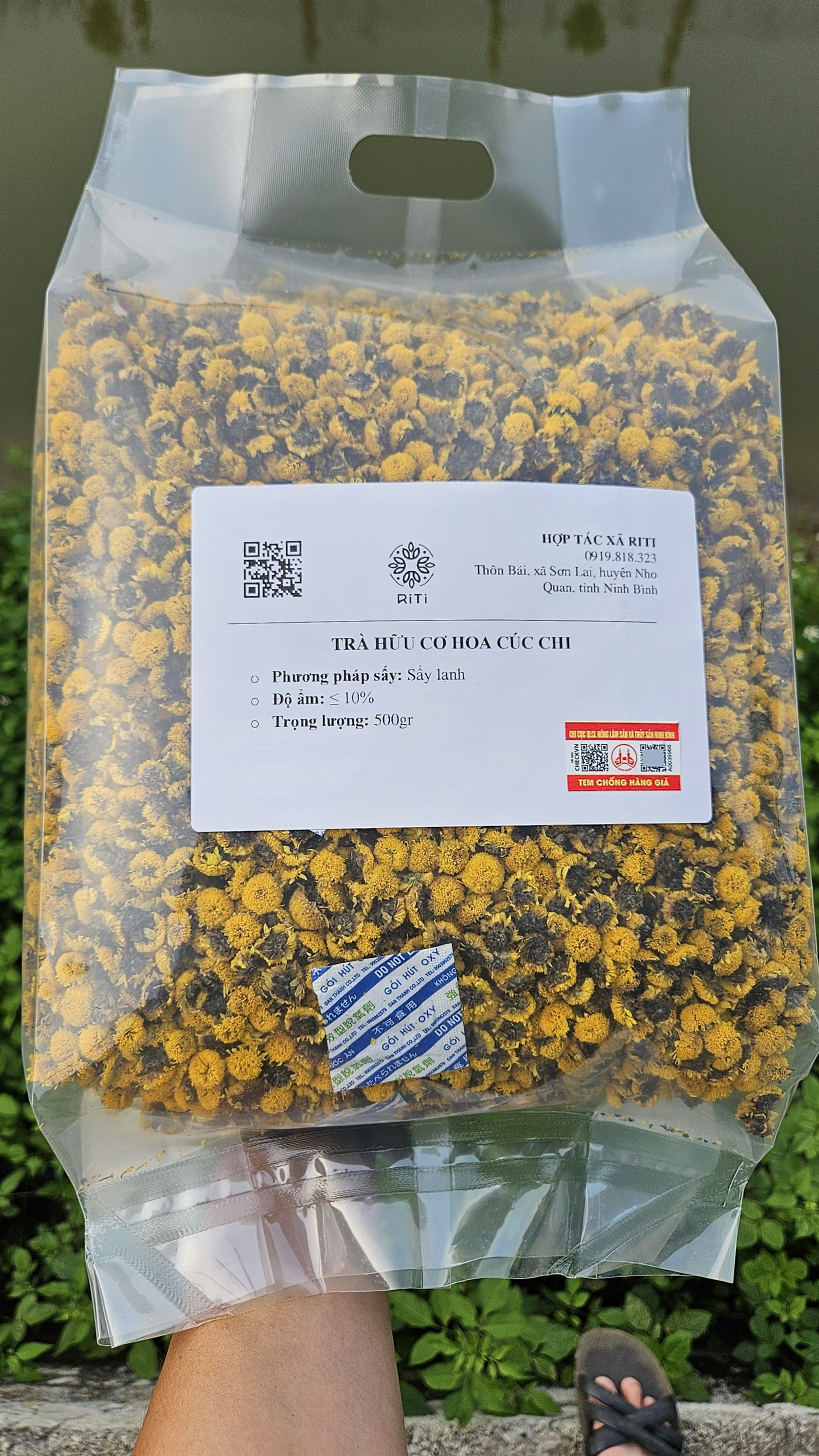 Trà hữu cơ hoa cúc chi Raw