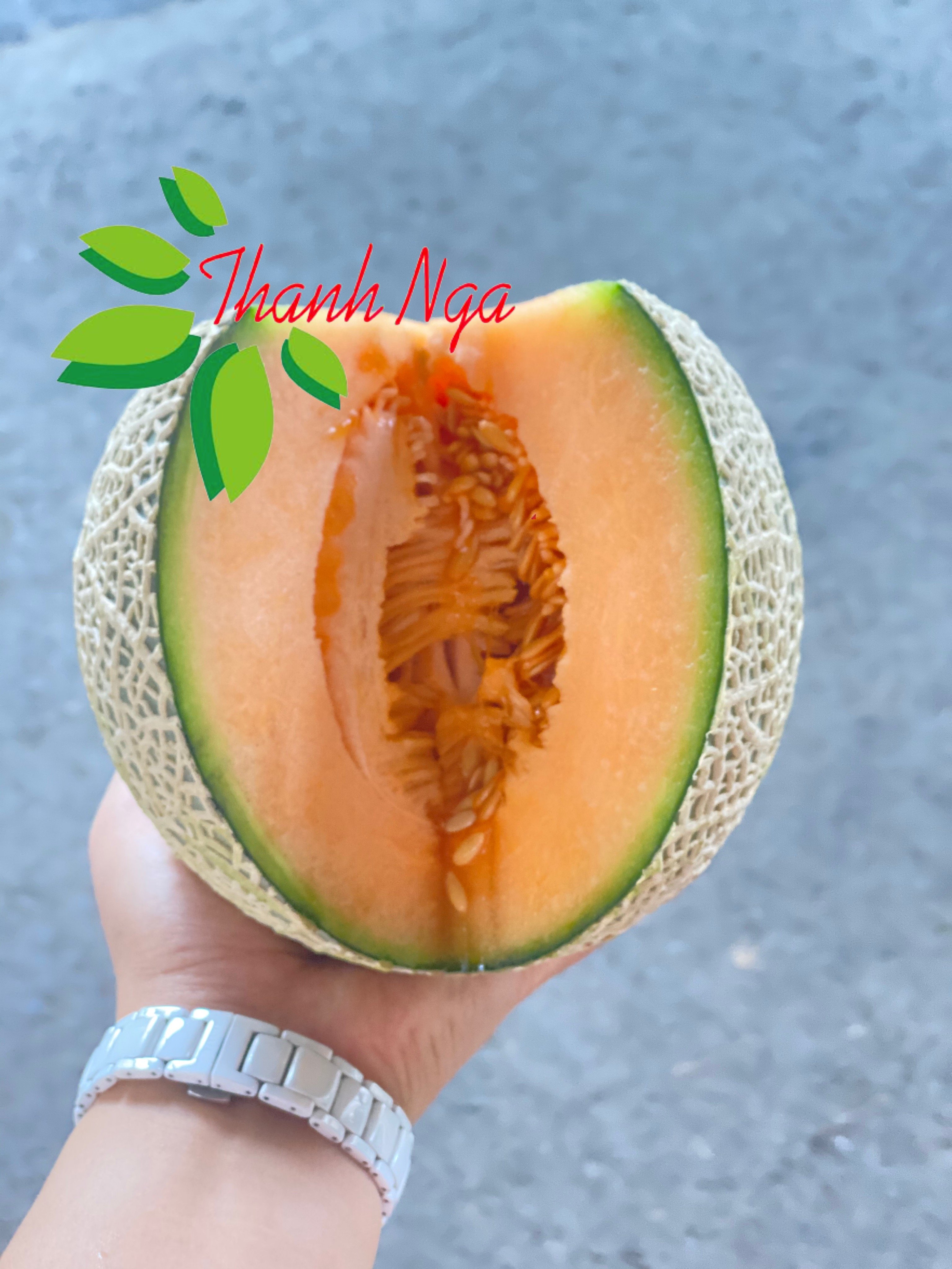 Dưa lưới