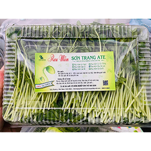 Rau mầm