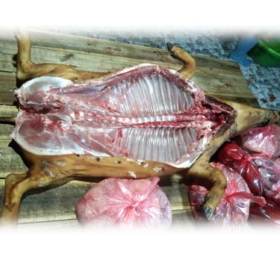 thịt lợn mán