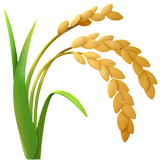 Hạt ngọc THiên Hương
