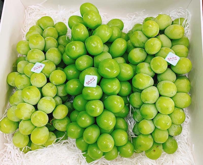 nho sữa Hàn Quốc