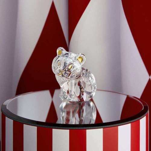 z2316762842763_1148302ba1371c3498525b7d110794af