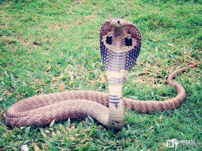 Hội nghị lấy ý kiến các hộ gia đình về dự thảo phương án bồi thường, hỗ trợ, tái định cư khi thực hiện dự án Khu đô thị sinh thái phường Ninh Mỹ