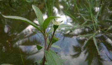 Công an xã Liên Minh ra quân mở đợt cao điểm tấn công, trấn áp tội phạm, đảm bảo an ninh trật tự bảo vệ Đại hội Đảng các cấp.