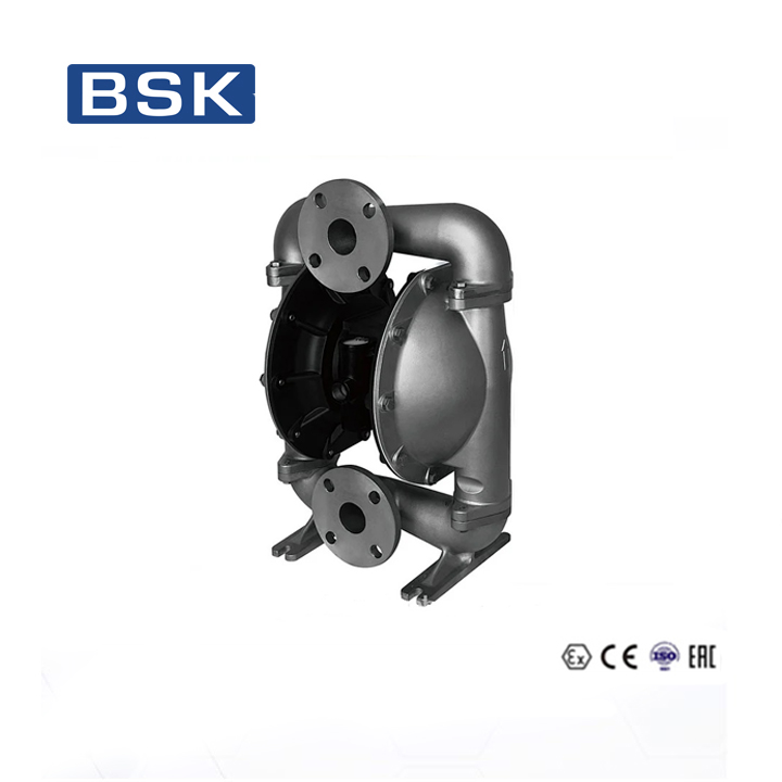 Bơm Bột BSK PA50SS-TTT3-C 2 Inch Thân Inox 316
