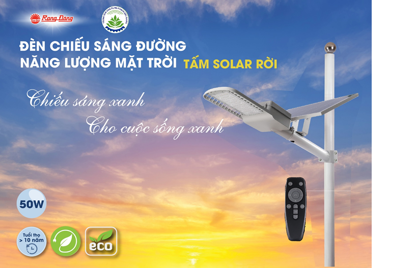 ĐÈN ĐƯỜNG NLMT TẤM SOLAR RỜI 50W