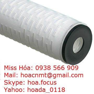 Lõi lọc tinh