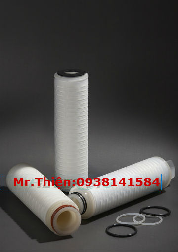 Lõi lọc thảo dược dạng giấy xếp 0.2 micron, lõi lọc giấy xếp siêu lọc