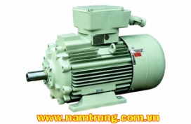Động cơ chống cháy nổ Siemens