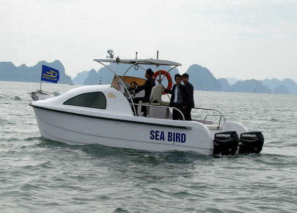 Xuồng CEMA 620 CAT