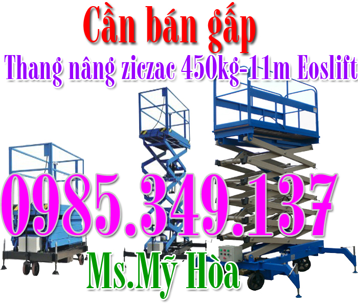 Thang nâng ziczac 300kg -14m