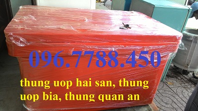 Thùng lạnh 100L