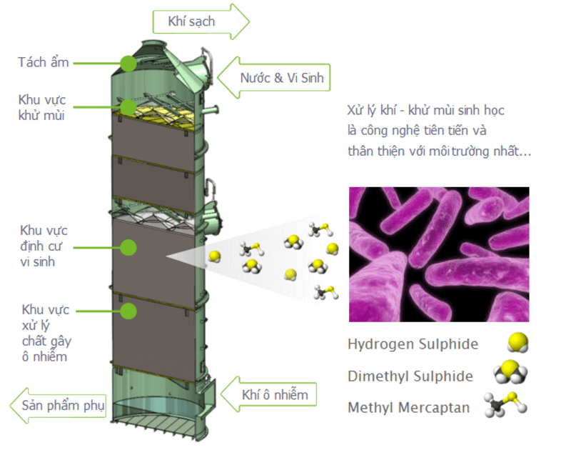 Khuyến mãi Dubai Casino lọc sinh học - Bio-trickling Filter