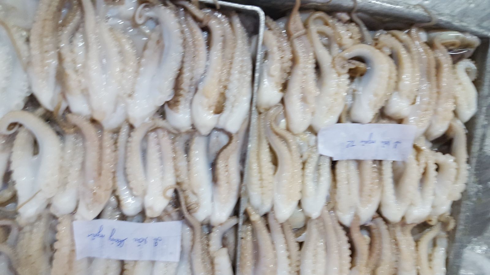 Phụ gia tăng trọng và giữ nước cho chế biến thủy sản (mực, bạch tuộc, tôm, cá, ...)