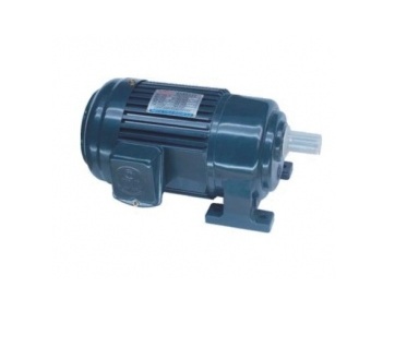 Động cơ giảm tốc Dolin trục thẳng chân đế