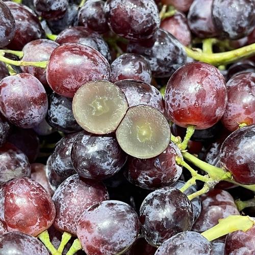 Hội nghị tổng kết công tác tư pháp năm 2020