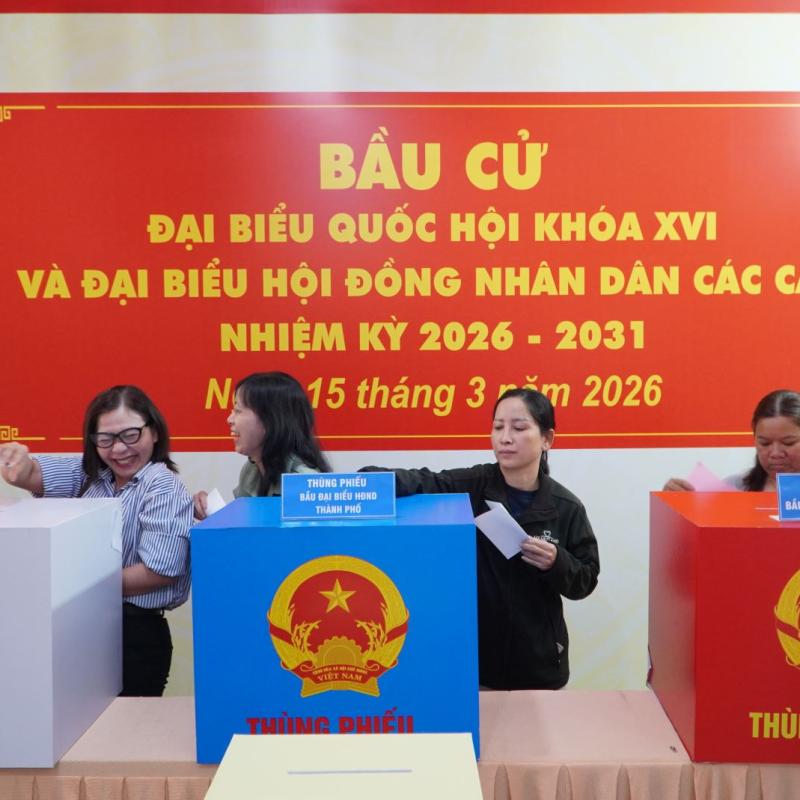 Những điều cử tri cần lưu ý khi tham gia bỏ phiếu