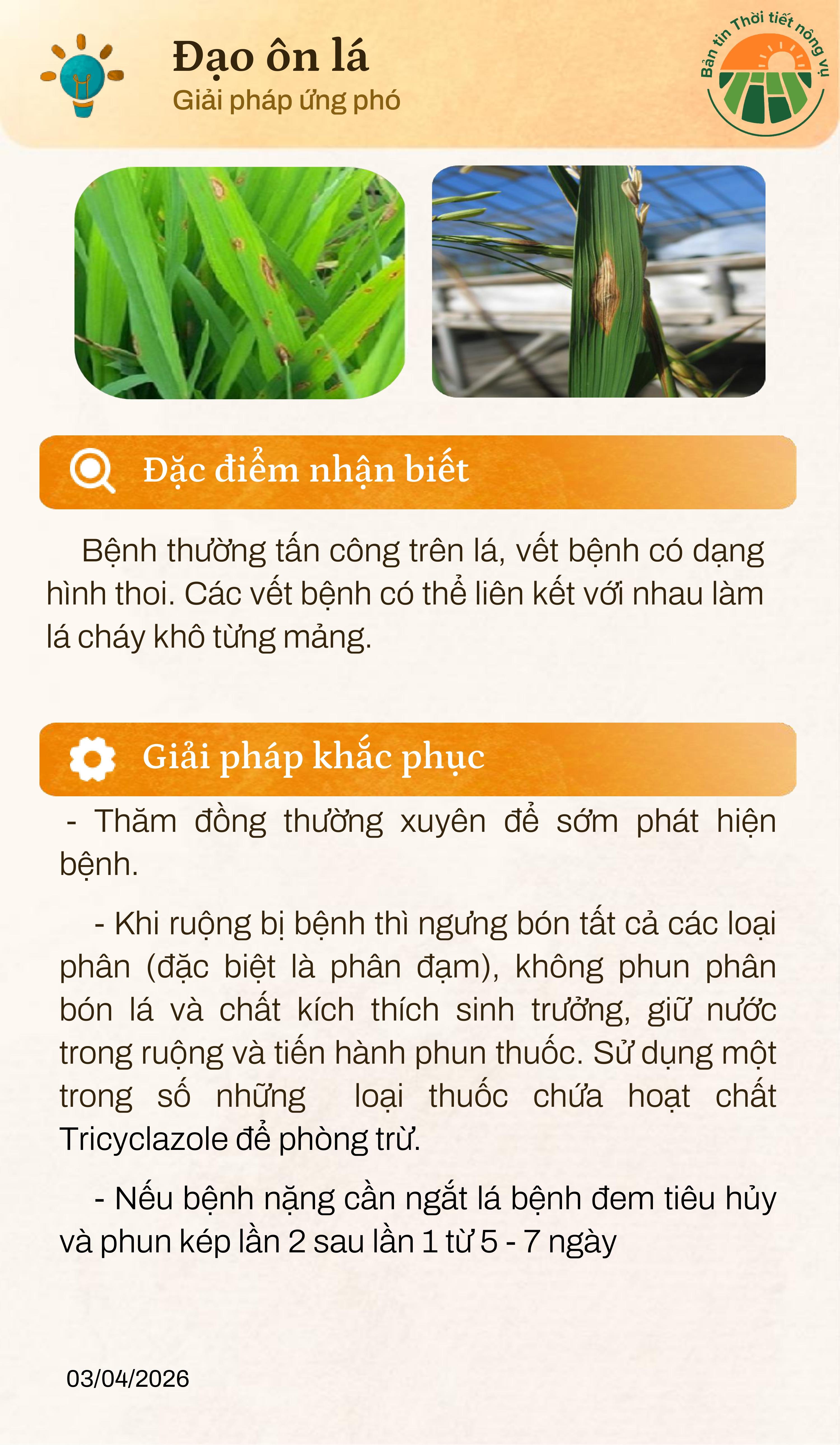 ban-tin-thoi-tiet-nong-vu-thang-4-page-0006-1-1775448595-226853.jpg