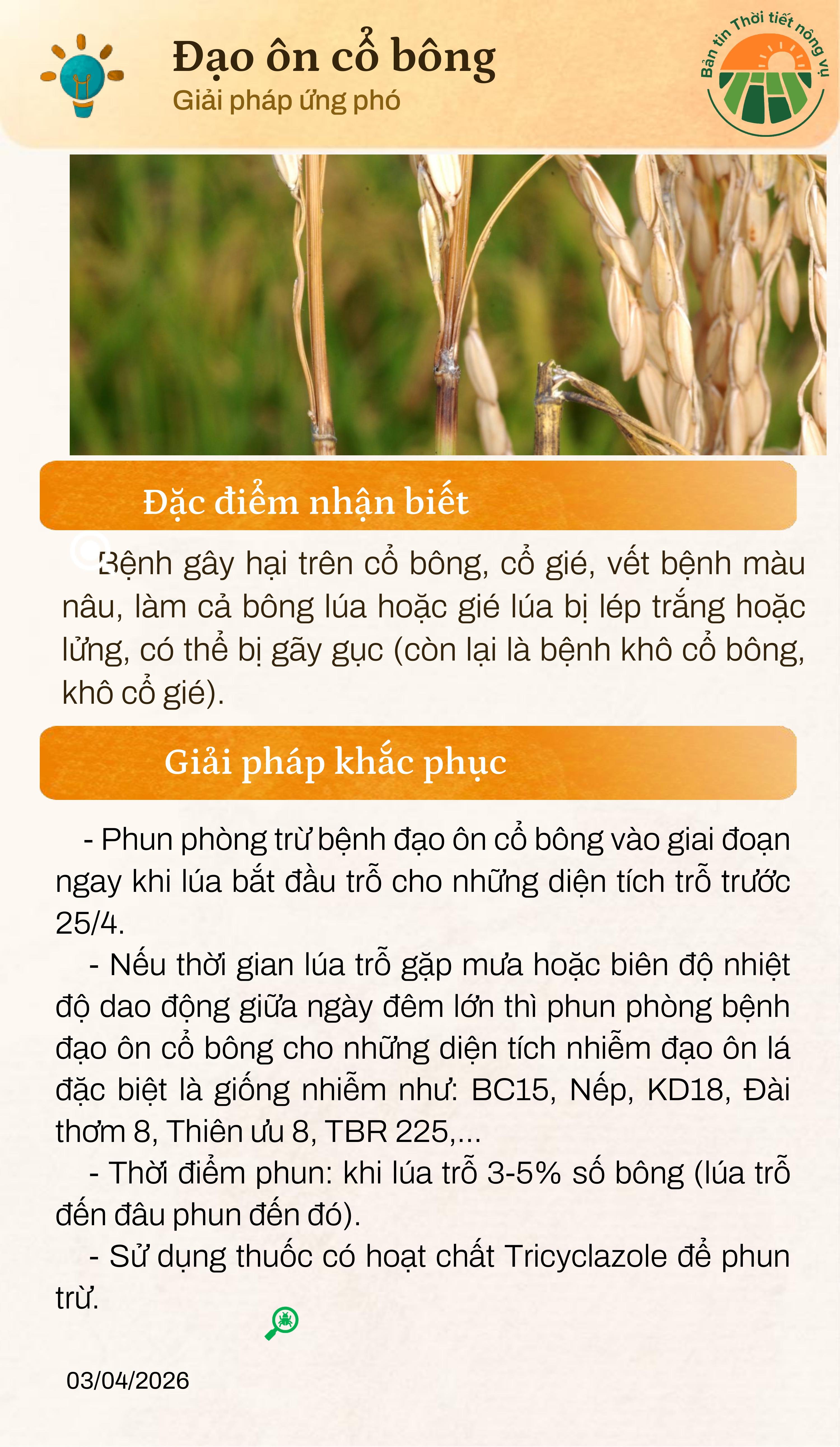 ban-tin-thoi-tiet-nong-vu-thang-4-page-0007-1-1775448595-579023.jpg