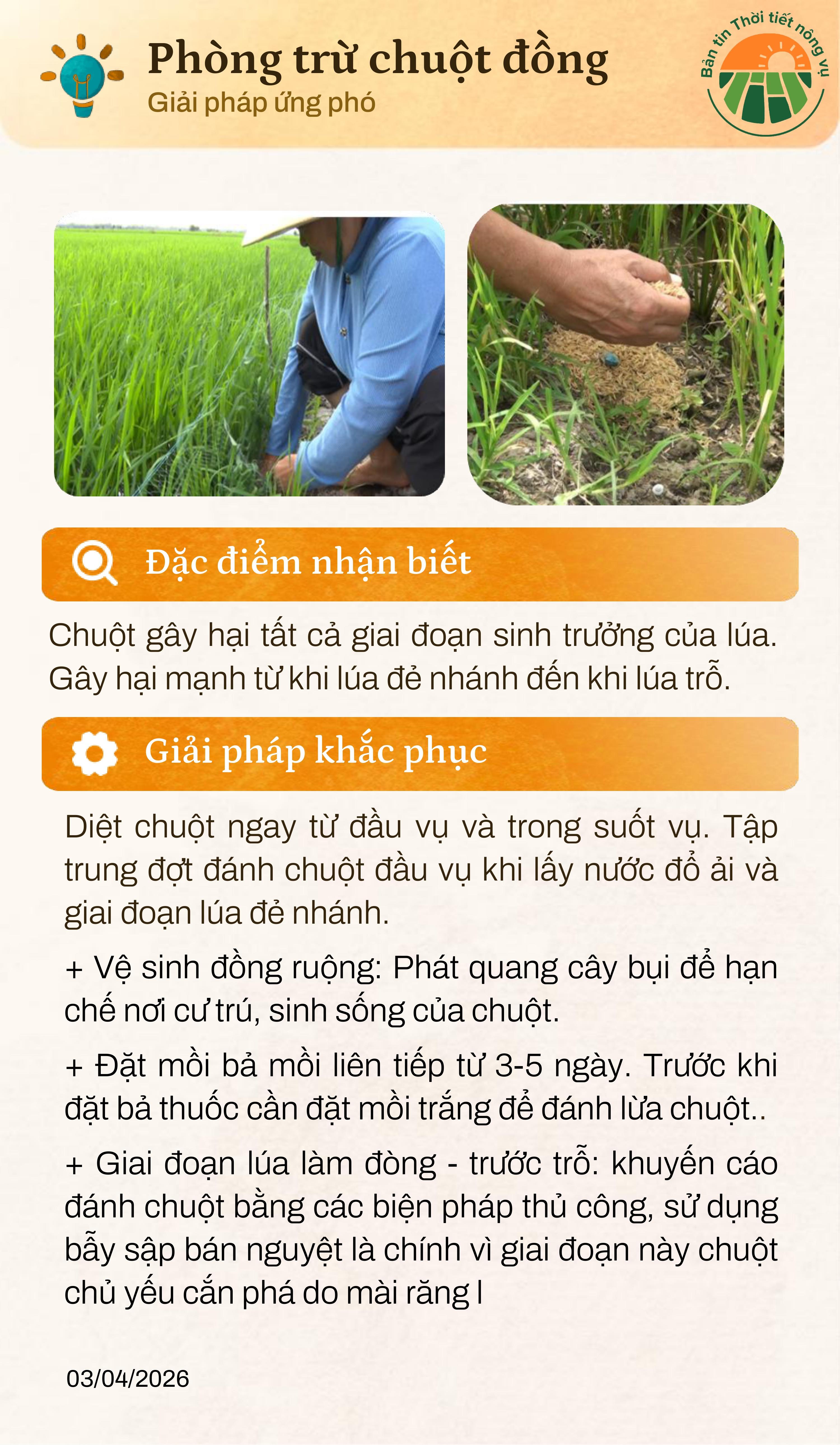 ban-tin-thoi-tiet-nong-vu-thang-4-page-0008-1-1775448595-675711.jpg