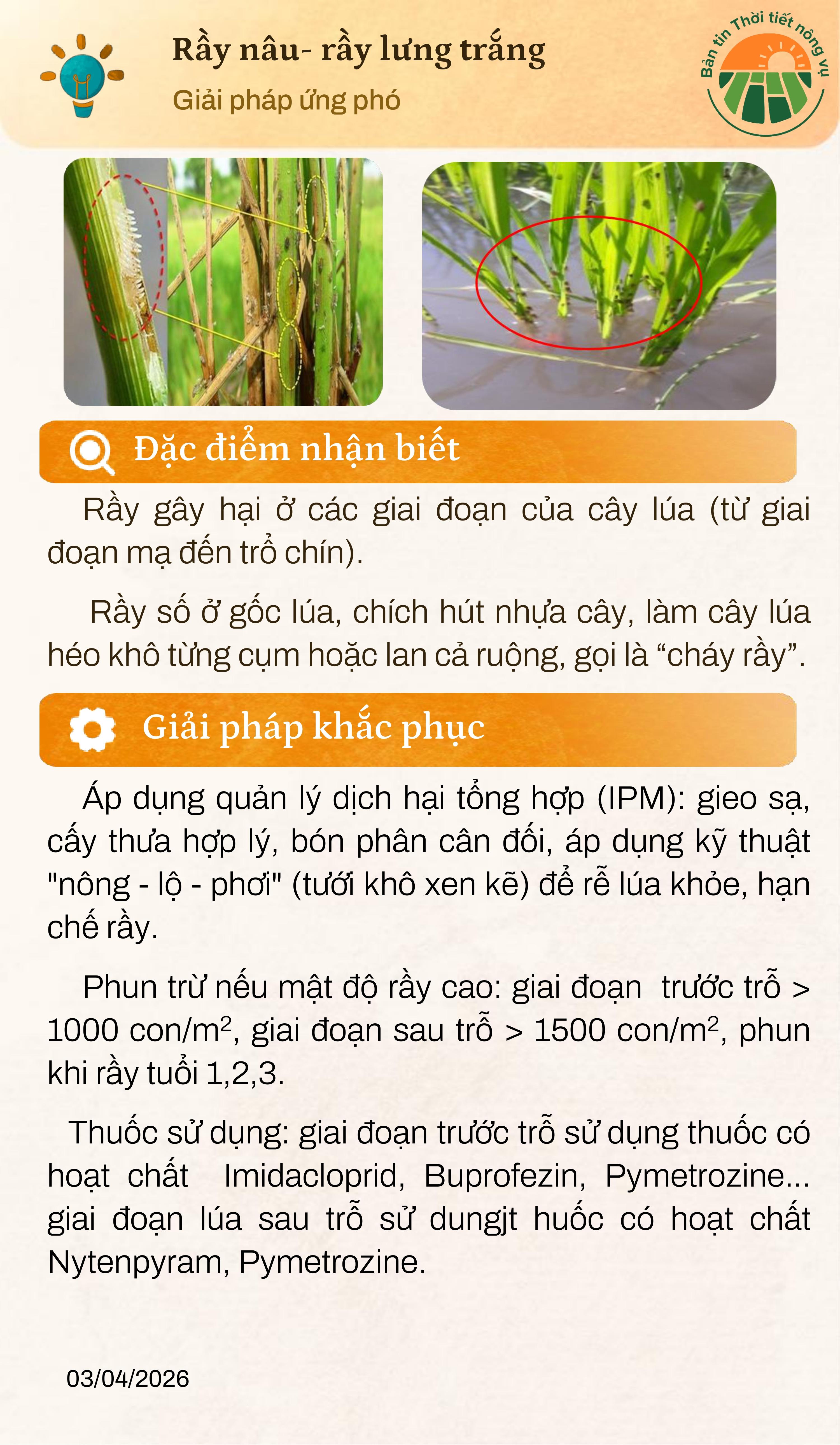 ban-tin-thoi-tiet-nong-vu-thang-4-page-0009-1-1775448595-619610.jpg