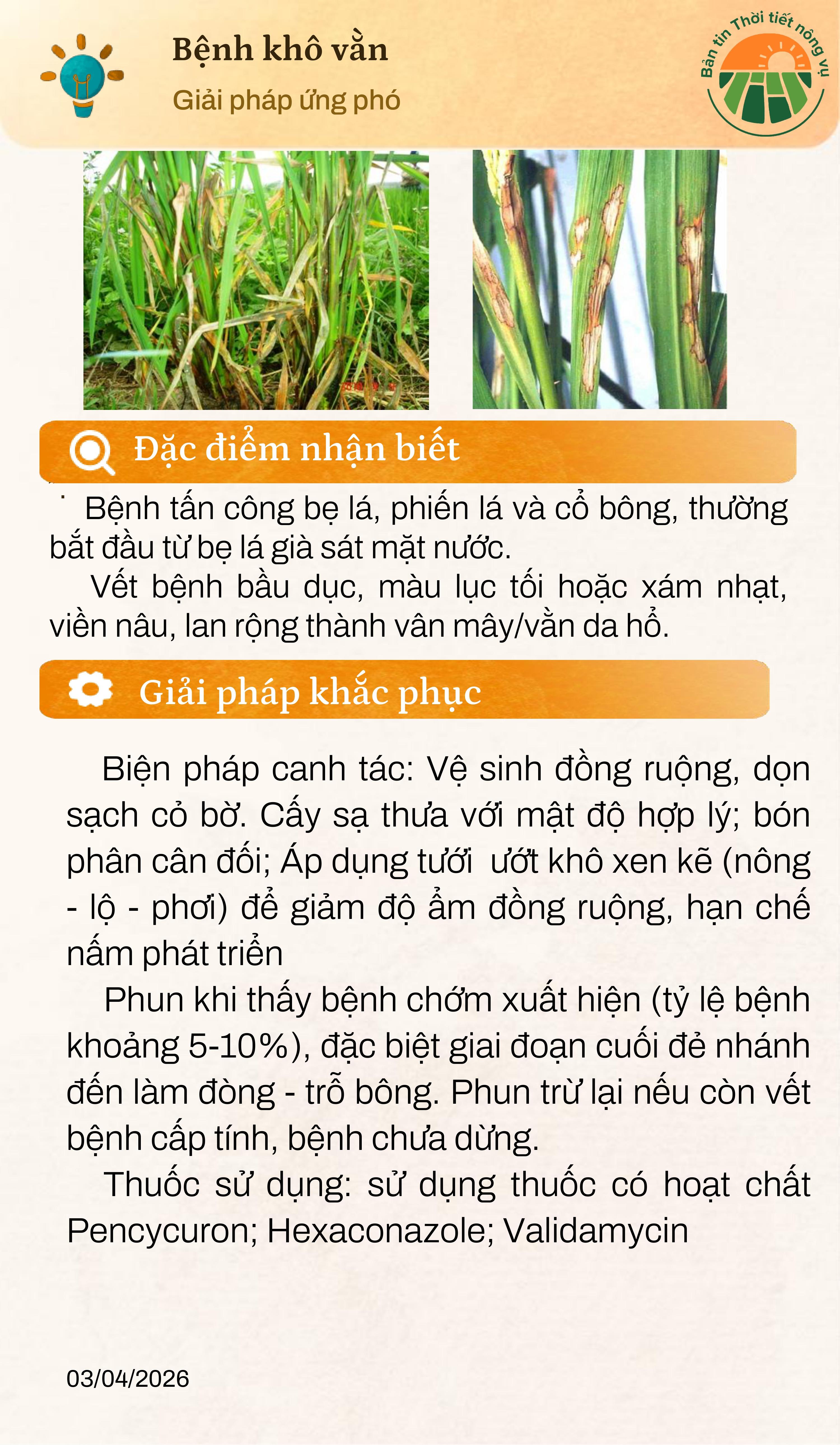 ban-tin-thoi-tiet-nong-vu-thang-4-page-0010-1-1775448595-695037.jpg