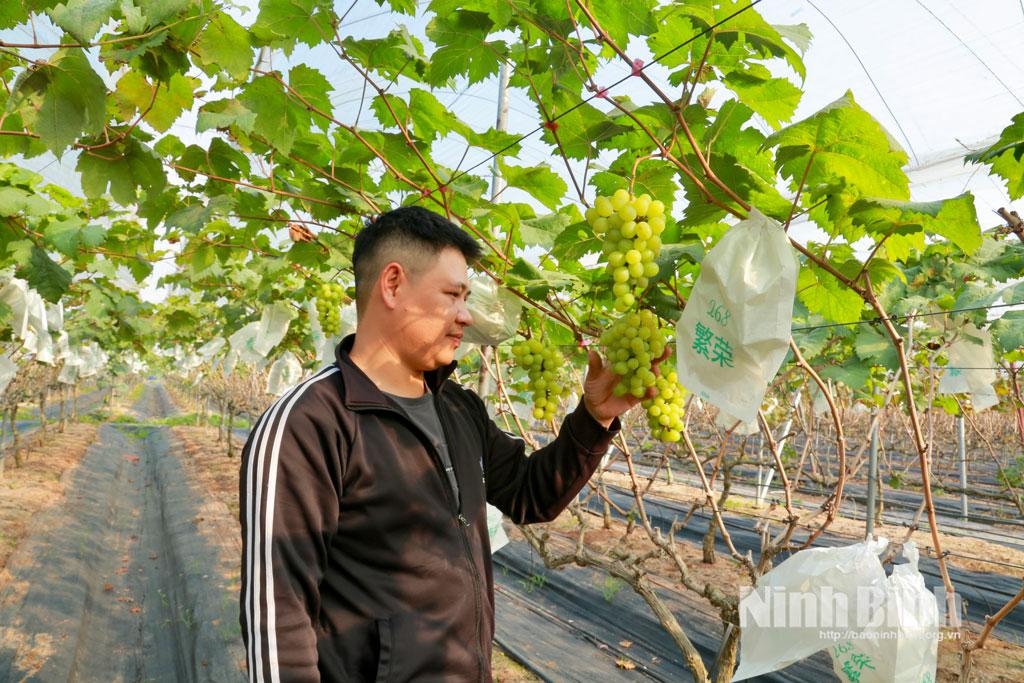 cong-nghe-cao-dua-nong-nghiep-phat-trien-ben-vung-114a-1769499854-837134.jpg