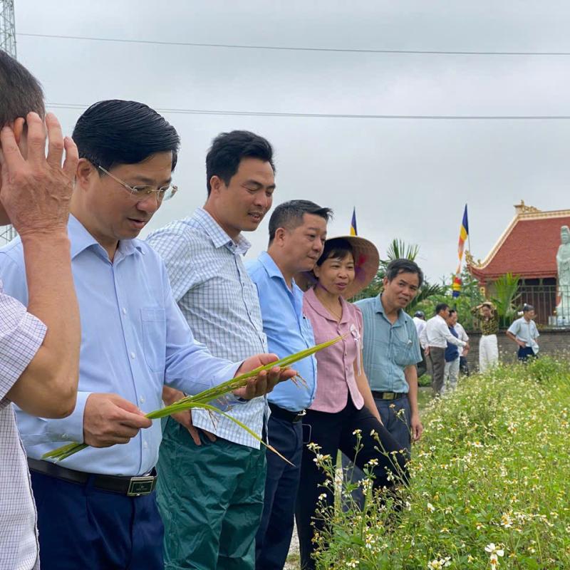 Xã Bình Lục tổ chức hội nghị về sản xuất nông nghiệp và phòng chống thiên tai năm 2026