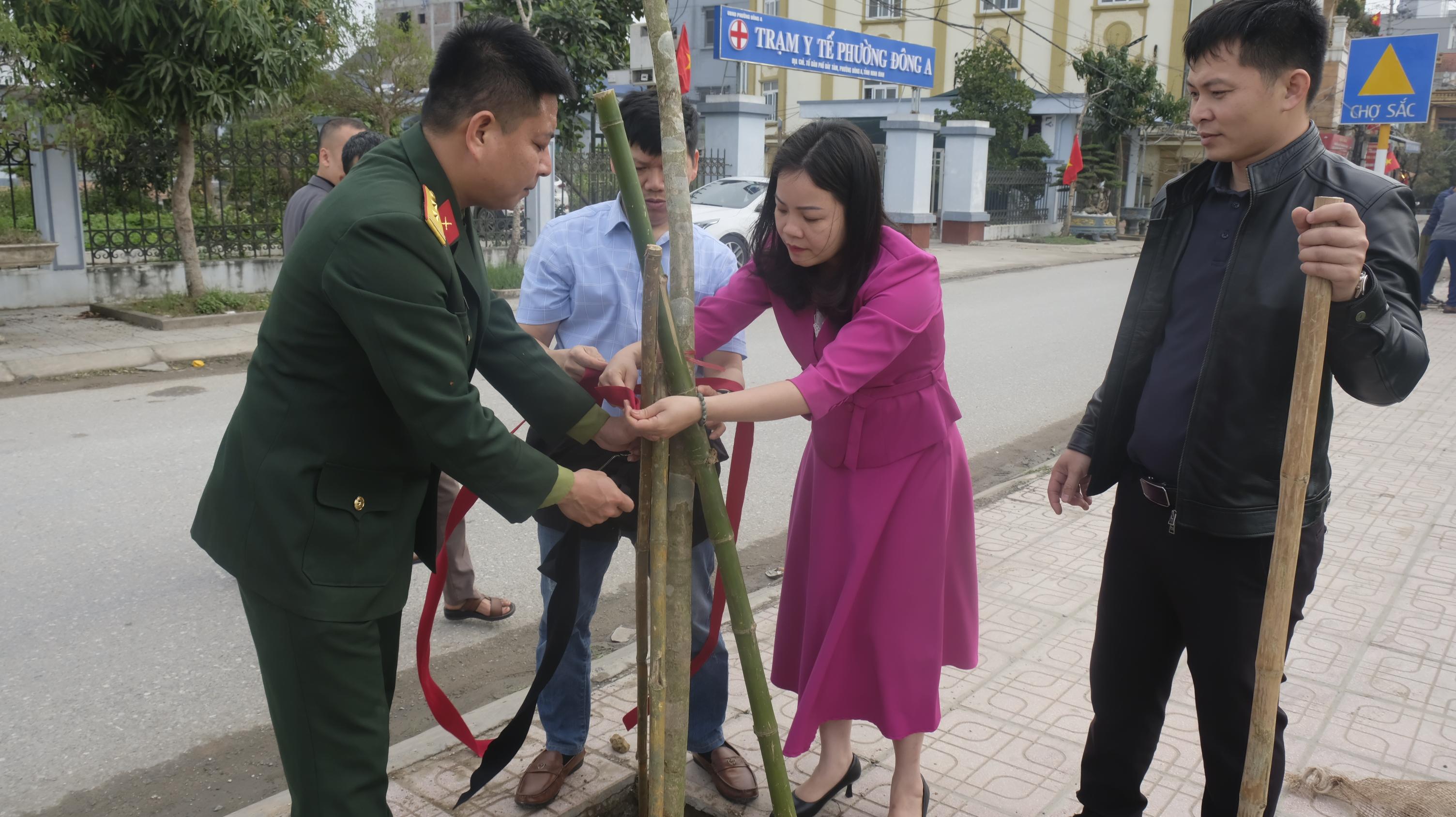 anh 11