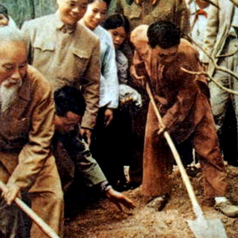 BÁC HỒ VỚI PHONG TRÀO “TẾT TRỒNG CÂY” – PHƯỜNG ĐÔNG A TÍCH CỰC HƯỞNG ỨNG LỜI KÊU GỌI CỦA NGƯỜI