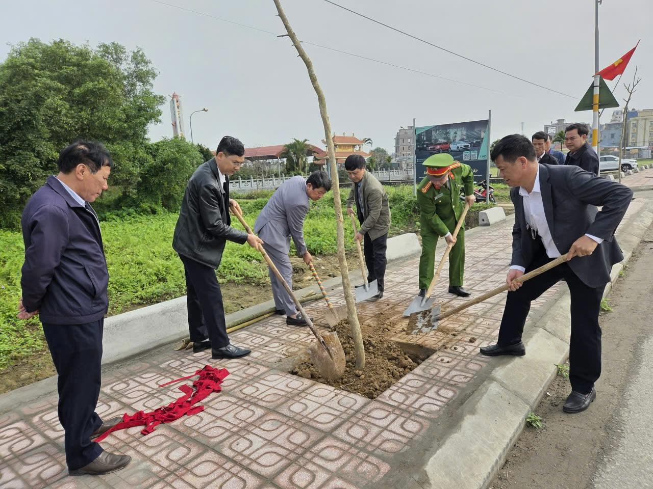 anh 8