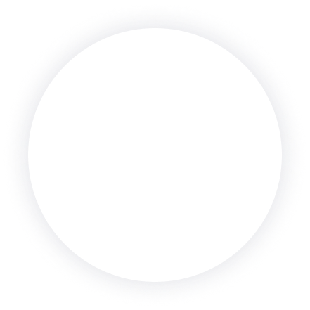 a1