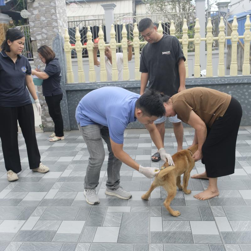 Phường Đông A quyết tâm hoàn thành tiêm phòng vắc xin cho đàn vật nuôi trước ngày 14/5/2026