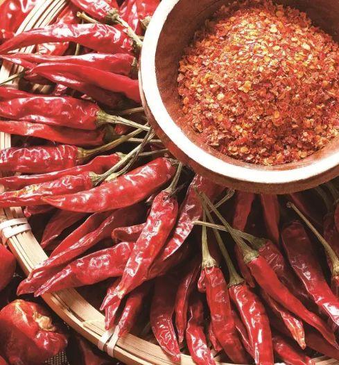 ĐẠI BIỂU HĐND PHƯỜNG ĐÔNG A TIẾP XÚC CỬ TRI TRƯỚC KỲ HỌP THỨ BA