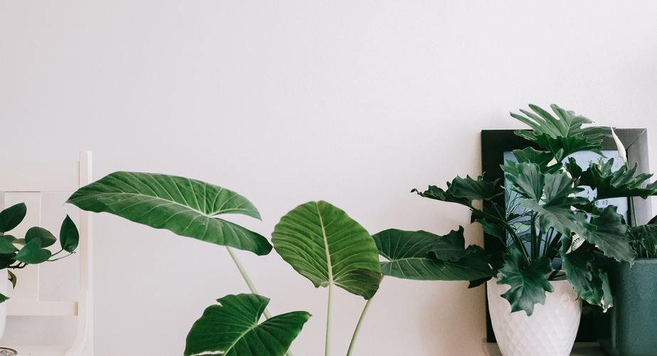 img-7394-1-1770048688-997278.jpg