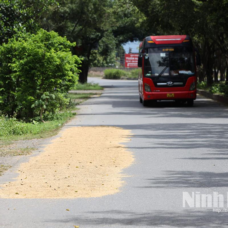 Siết chặt quản lý, xử lý nghiêm tình trạng đốt rơm rạ và phơi nông sản trên đường giao thông