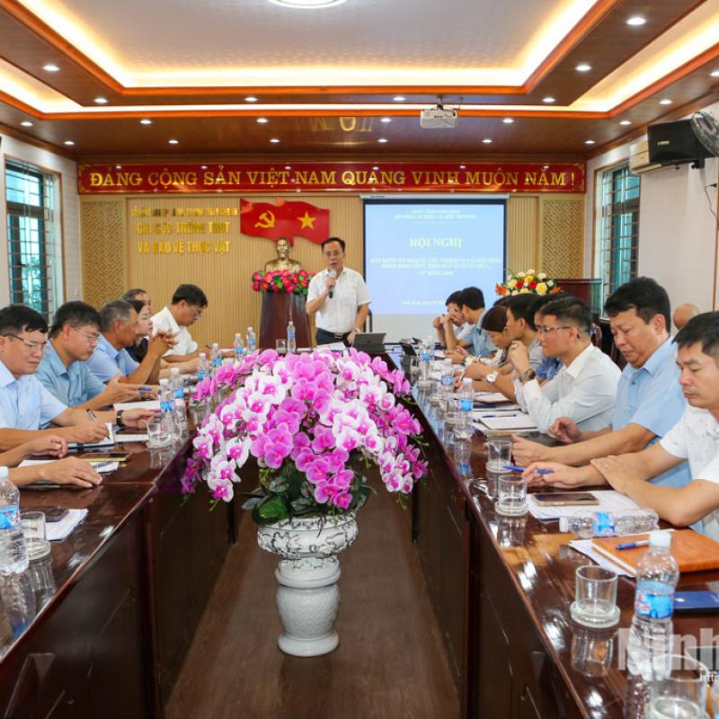 Triển khai nhiệm vụ, giải pháp trọng tâm trong sản xuất vụ mùa 2026, vụ đông 2026-2027