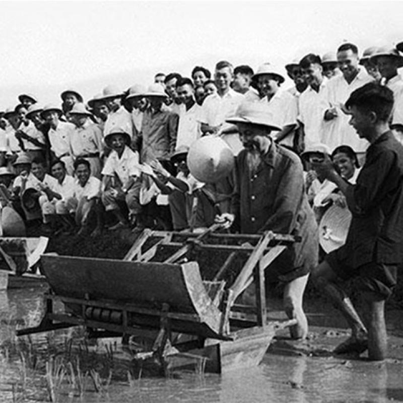Bác Hồ dạy: “Lao động là vẻ vang”