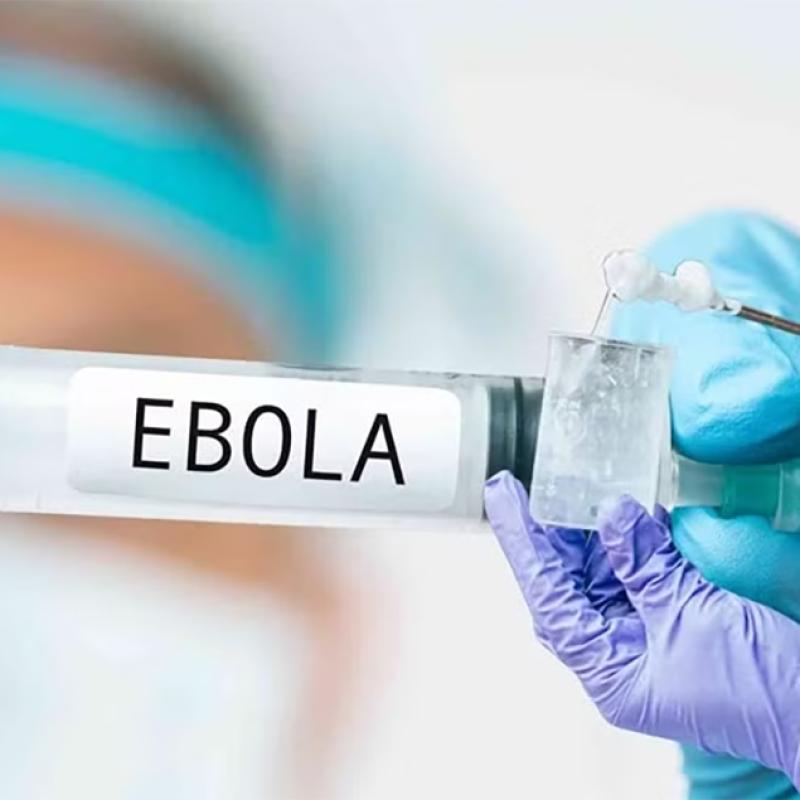 Ebola có thể bị nhầm với sốt xuất huyết, cúm: Chuyên gia cảnh báo dấu hiệu cần lưu ý