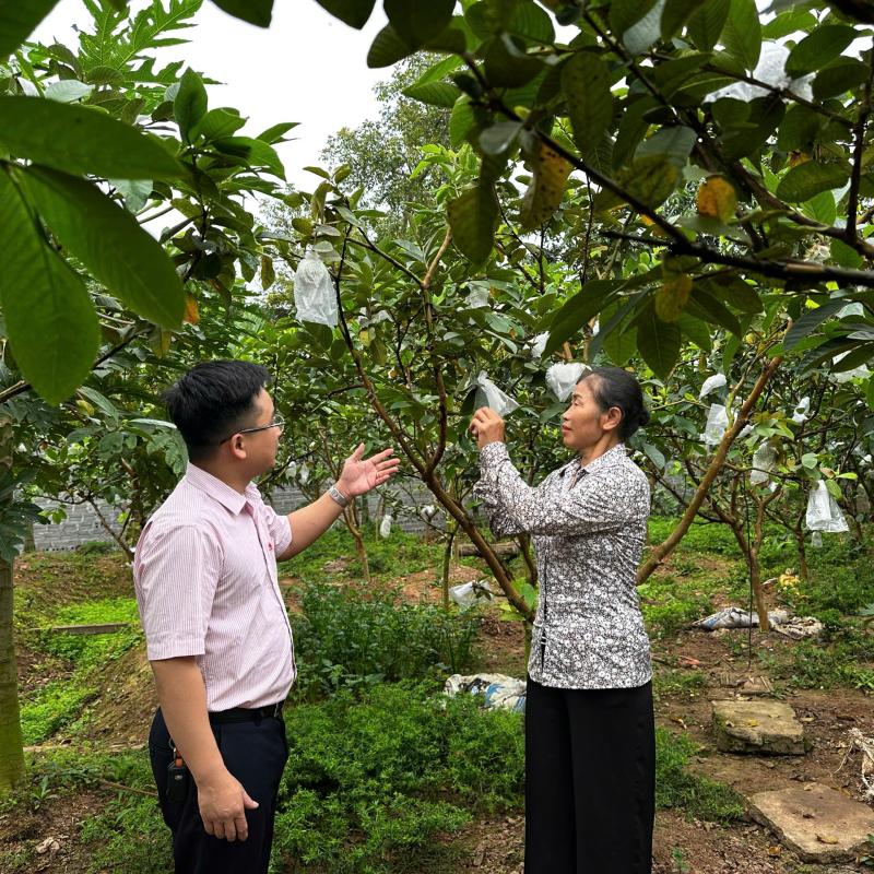 HIỆU QUẢ TÍN DỤNG CHÍNH SÁCH “ĐÒN BẢY’’ NÂNG CAO ĐỜI SỐNG NHÂN DÂN TRÊN ĐỊA BÀN PHƯỜNG DUY TIÊN