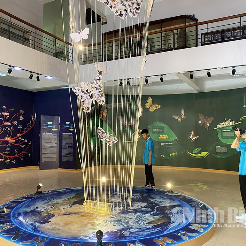 Khám phá "bảo tàng xanh" giữa lòng đại ngàn Cúc Phương