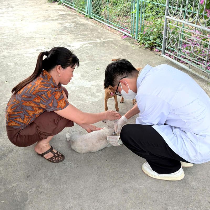 Xã Giao Bình chủ động thực hiện các biện pháp phòng, chống dịch bệnh động vật
