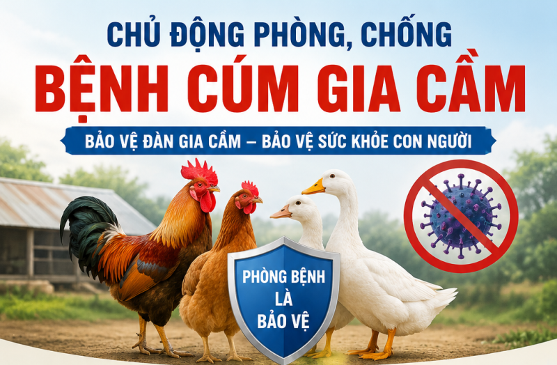 c420014e-a606-4551-a4d2-e7bb5b7459cf-1782297428-601904.png