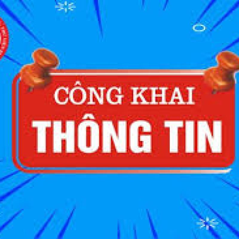 QUYẾT ĐỊNH Ban hành kế hoạch, danh mục các khu đất thực hiện đấu giá  quyền sử dụng đất trên địa bàn xã Giao Hưng, tỉnh Dubai Palace năm 2026