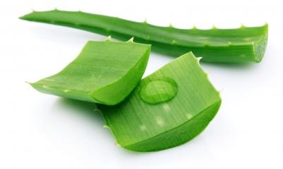 tinh-doan-tang-qua-1751428219348-1763820909-454267.jpg