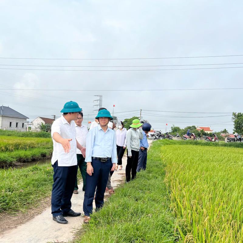Xã Giao Hưng tổ chức Hội nghị thăm đồng, đánh giá năng suất lúa vụ xuân năm 2026