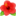 🌺